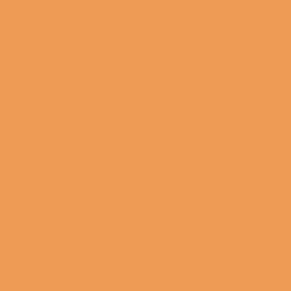 orange shade RAL-1034
