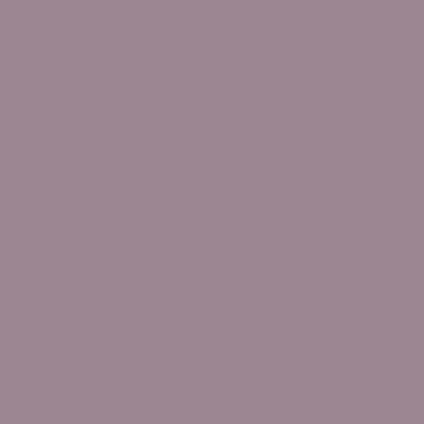 violet shade RAL-4009