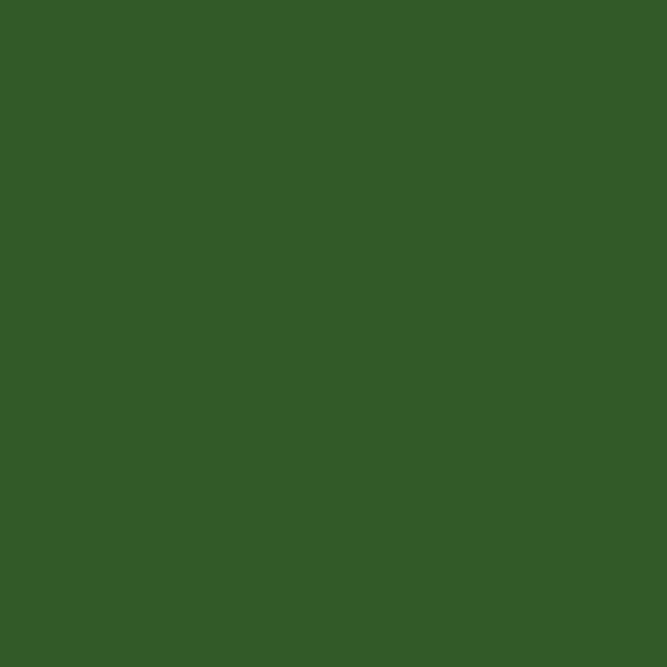 green shade RAL-6002