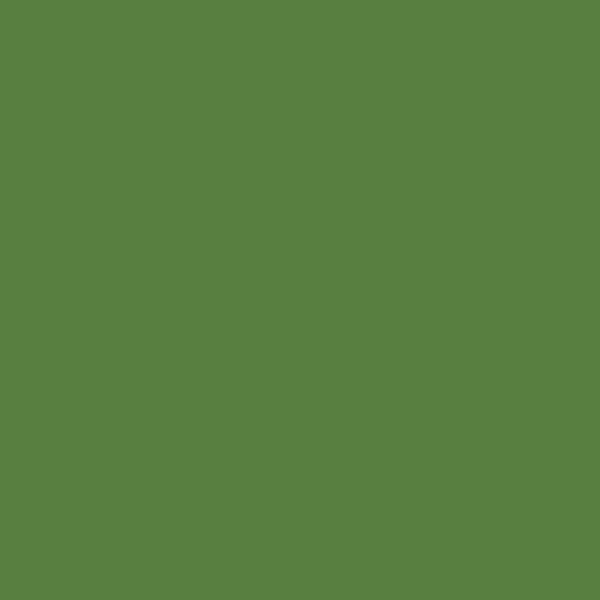 green shade RAL-6017