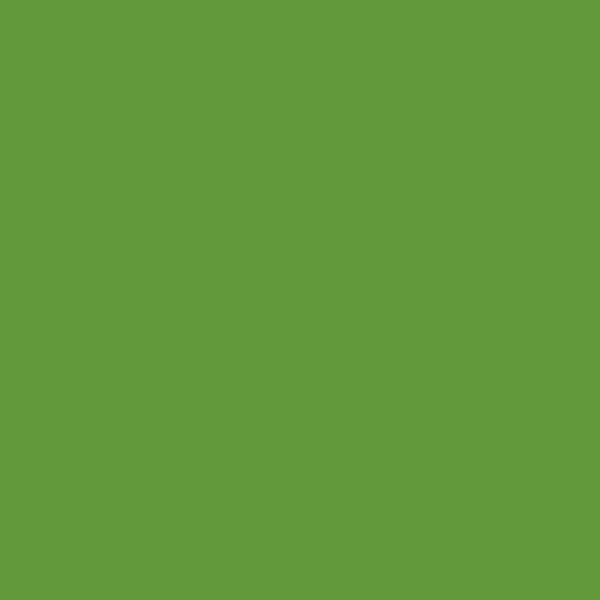 green shade RAL-6018