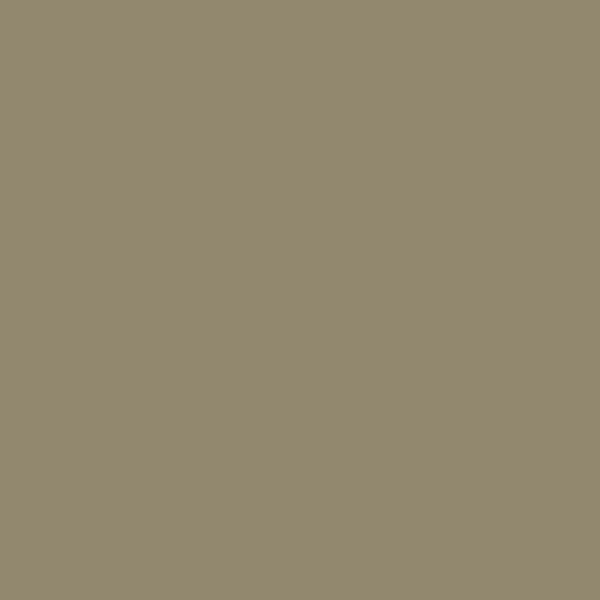 Green beige grey shade RAL-7034